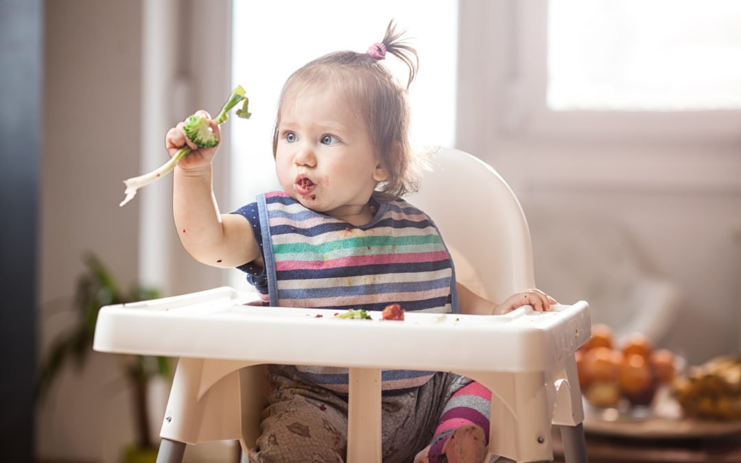 Where does fussy eating begin, and where does it end?